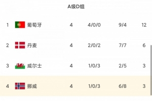 遭葡萄牙双杀！挪威吞三连败+哈兰德伤退，世界杯8强→暂小组垫底
